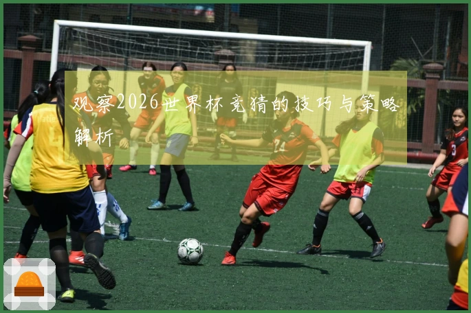 观察2026世界杯竞猜的技巧与策略解析