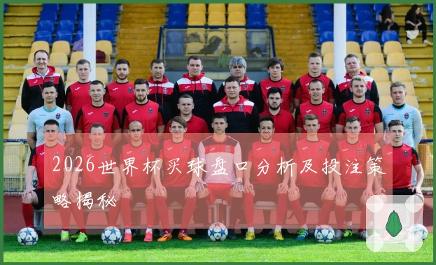 2026世界杯买球盘口分析及投注策略揭秘