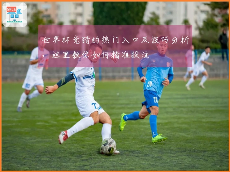 世界杯竞猜的热门入口及技巧分析，这里教你如何精准投注