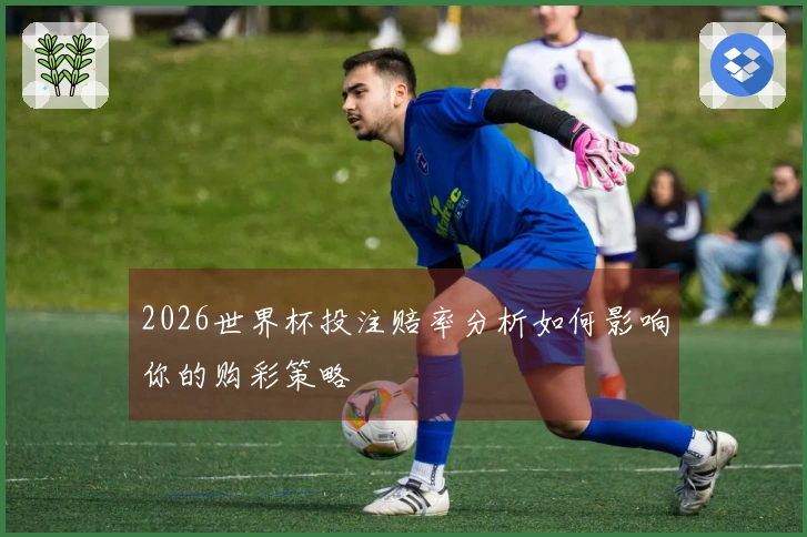 2026世界杯投注赔率分析如何影响你的购彩策略