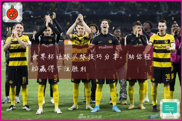 世界杯让球买球技巧分享，助你轻松赢得下注胜利